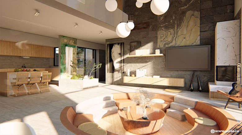 casa criveanu